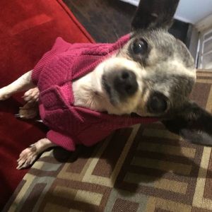 Meet your Posher, Mila